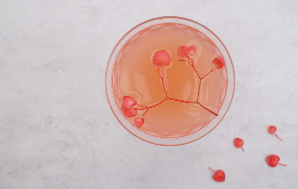 Lentemocktail Rhubarb Spring Mocktail met rabarbersiroop en pompelmoessap